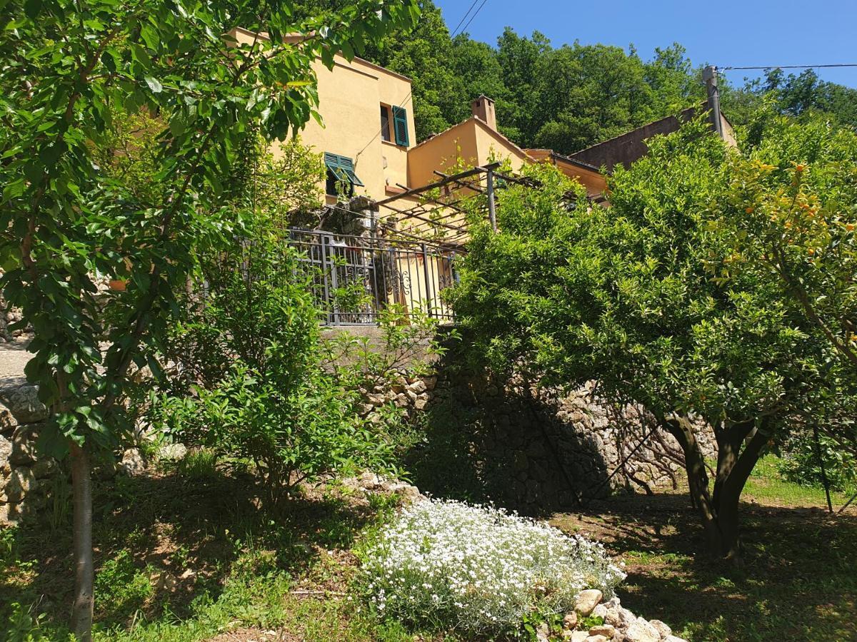 Agriturismo Alveare Finale Ligure Exterior foto